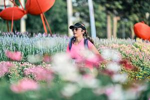 BIB: 
                            <button type="button" onclick="openModal(25932559)" class="btn btn-primary btn-sm float-right btn-popup" data-toggle="modal" data-target=".modal-high-quality">
                        <i class="fas fa-shopping-cart"></i> Add to Cart
                    </button>
                                            <button type="button" onclick="isThisMe(25932559, true)" class="btn btn-success btn-sm float-right btn-popup btn-isme hidden" data-toggle="tooltip" data-placement="bottom" title="นี่คือรูปของคุณใช่ไหม คลิกที่นี่เพื่อเอาเข้าอัลบั้ม">
                        <i class="fas fa-plus"></i> Add to album
                    </button>
                    <button type="button" onclick="isThisMe(25932559, false)" class="btn btn-warning btn-sm float-right btn-popup btn-isnotme hidden">
                        <i class="fas fa-ban"></i> Remove from album
                    </button>